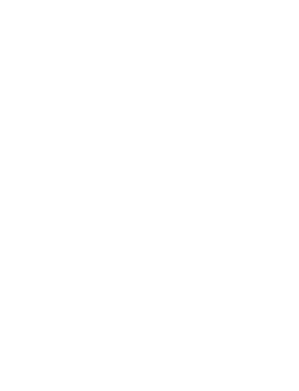 Destroy Capital - Image 2